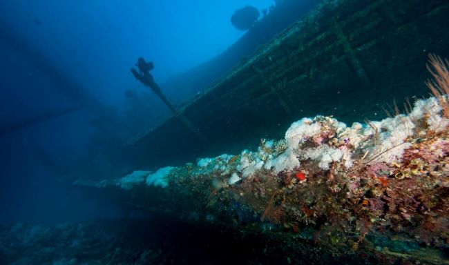 Cedar Pride Shipwreck | Aqaba, Jordan, Red Sea