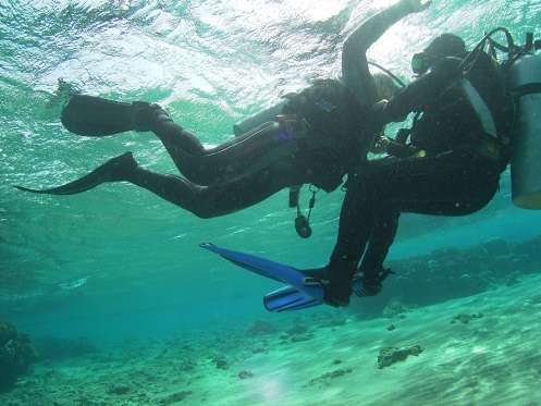  Padi Rescue Diver courses in Aqaba | Jordan