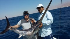 Deep Fishing Sport in Aqaba