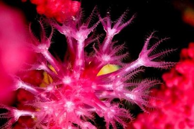 ...and then at night. ...and then at night.