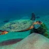 New Canyon — Dive Site in Aqaba, Jordan