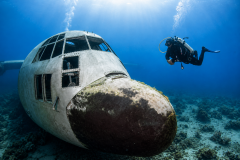 Scuba Diving In Aqaba, Jordan: Complete Guide