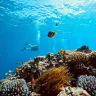 Seven Sisters — Dive Site in Aqaba, Jordan