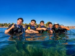 Shore Diving in Aqaba: Why Many of the Best Dives Start from the Beach