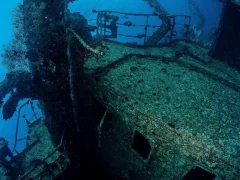 Red Sea Diving Safari