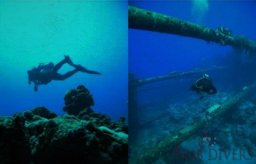  Rainbow Reef | Aqaba, Jordan – Red Sea
