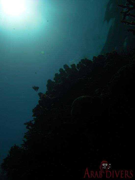  New Canyon | Aqaba-Jordan-Red Sea