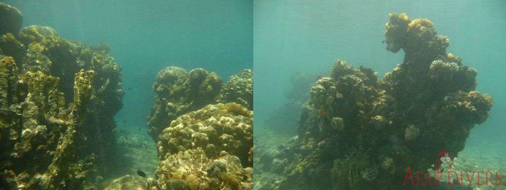  New Canyon | Aqaba-Jordan-Red Sea