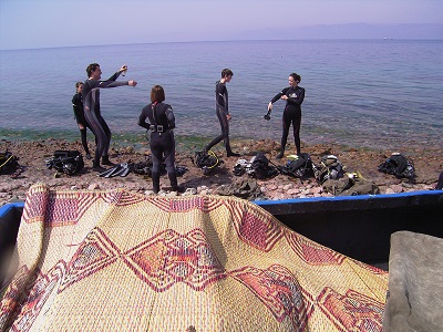 Blue Coral | Aqaba, Jordan, Red Sea