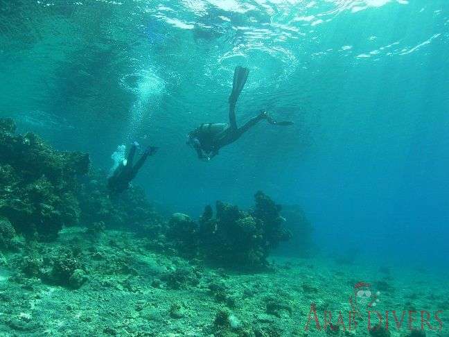 Paradise Dive site | Aqaba, Jordan