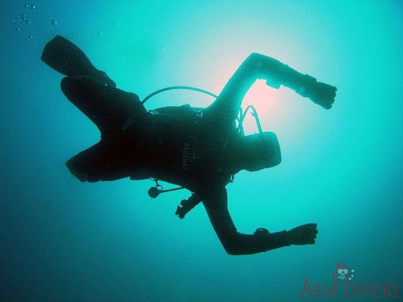  Paradise Dive site | Aqaba, Jordan